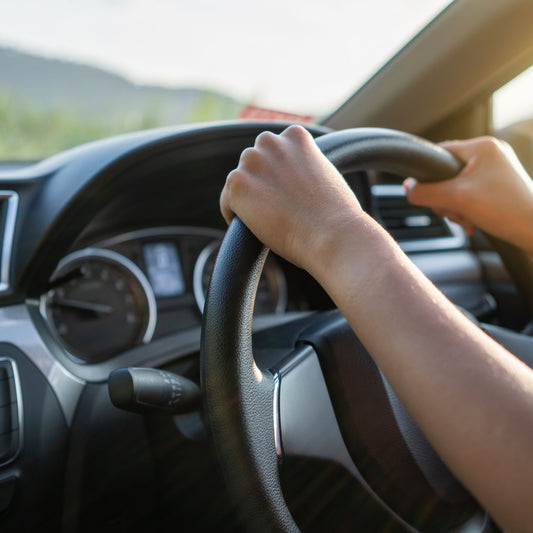 International Student Driving Experience Program (ISDEP)