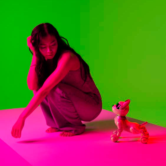 The Robot Dog, Melbourne Theatre Company, Tuesday 25th March