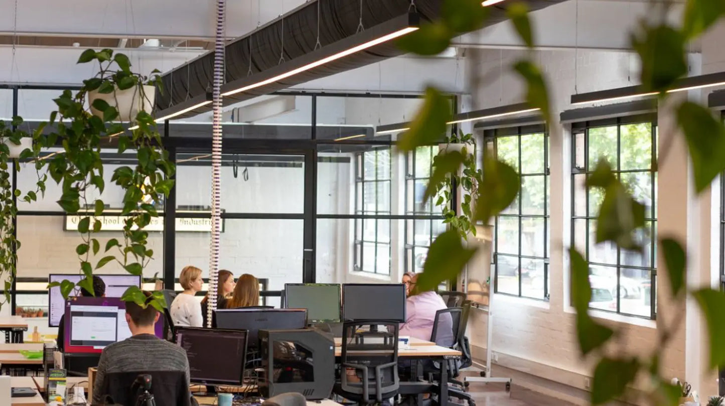 Flecknoe Co-work Casual Hire