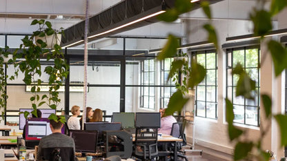 Flecknoe Co-work Casual Hire