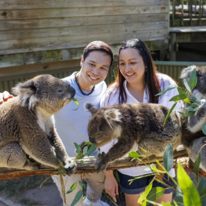 Ballarat Wildlife Park Excursion – Ballarat Students (Station or Mount Helen pickup)