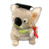 Graduation Koala